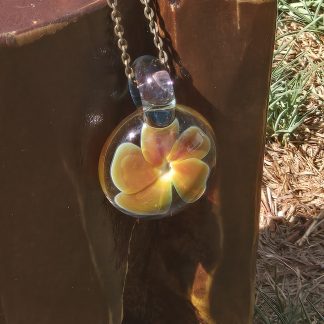 Peachie Bloom Flower