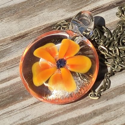 Solar Bloom
