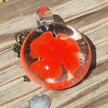 Poppy Red Bloom
