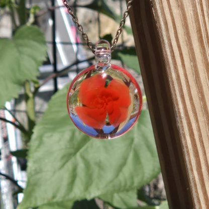 Poppy Red Bloom - Image 3