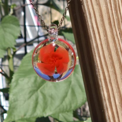 Poppy Red Bloom - Image 2