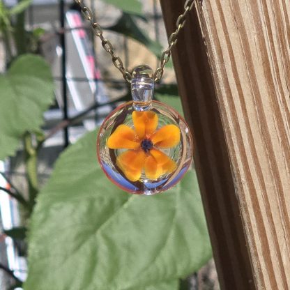 Solar Bloom - Image 2