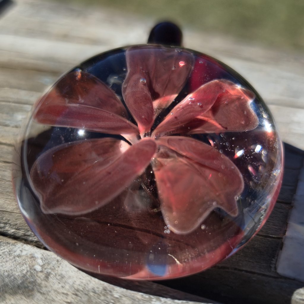 Burgundy Bloom